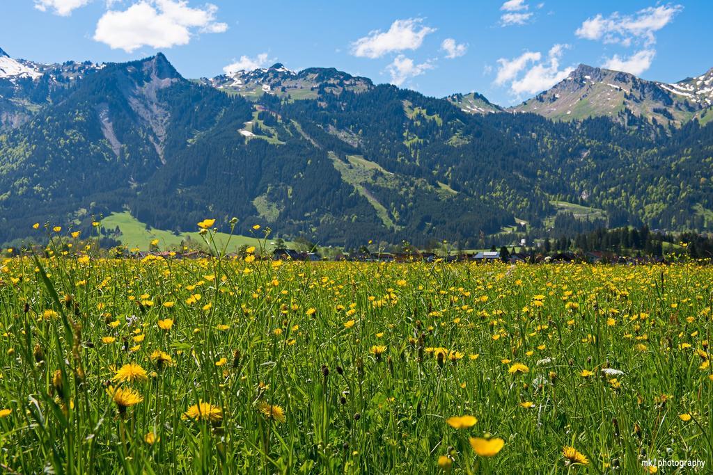 Burgchalet Reutte Pokoj fotografie
